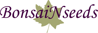 BonsaiNseeds