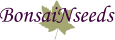 BonsaiNseeds